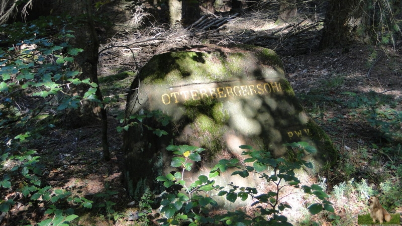 Ritterstein Nr. 139-2aa Otterbergersohl.JPG - Ritterstein Nr.139  Otterbergersohl                               